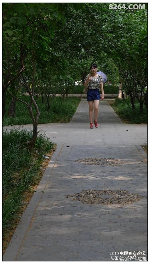 山东行游影记（18）—济南山东大学（五）