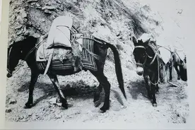 秦钺——“大盛魁”经营史上不得不说的名字（走西口）图片