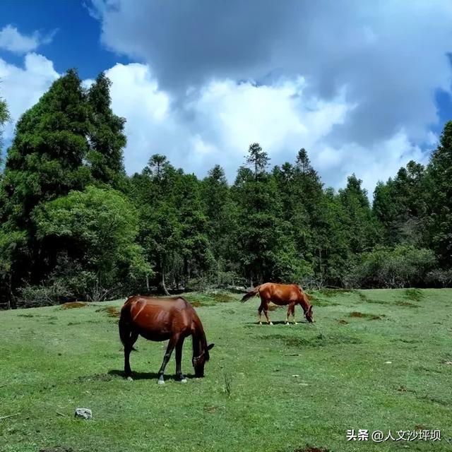 暑假余额不足？这10个高铁直达的宝藏小城好吃又好逛，最快22分钟飙拢！