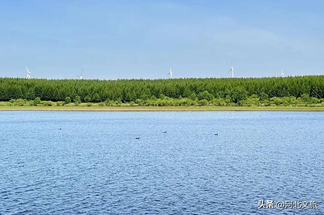 河北到底哪里美 | 畅玩河北坝上之承德围场篇