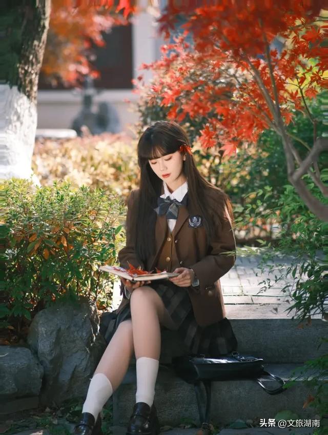 红了！湖南“追枫”地图更新