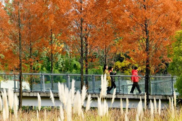 青睐绵阳 || 这里，绝美，超出片！