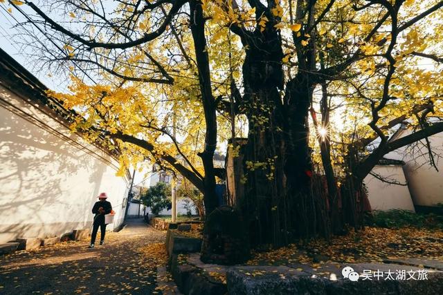 苏州十大“寿星”出炉！