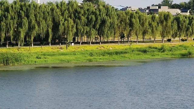 大美泌阳：泌水河两岸风光