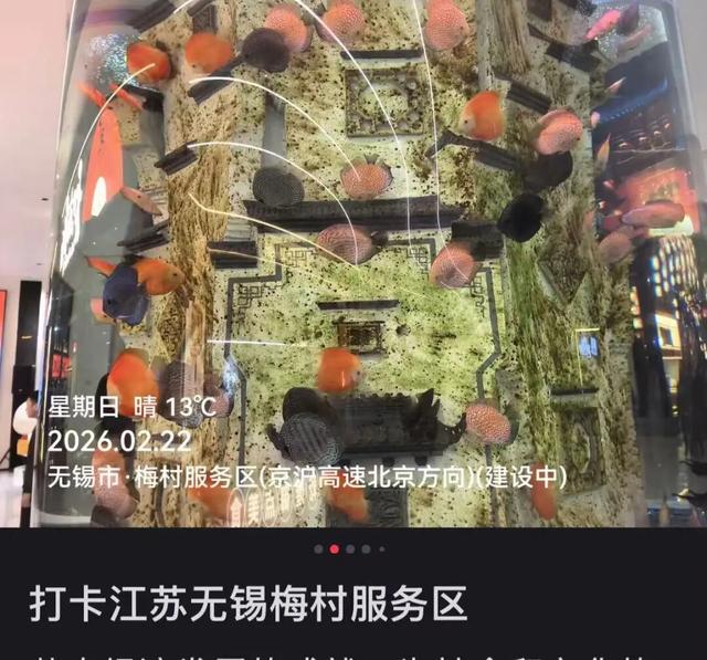 惊呆了！无锡这个服务区