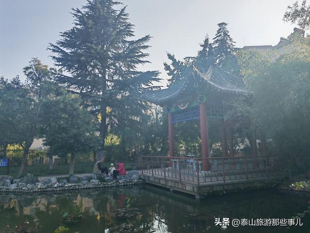泰安：有一个城市园林，藏着1 眼泉水流芳千年，30个品种 600 盆秋菊