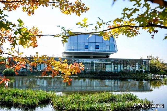 新地标！珠宝文化中心开工