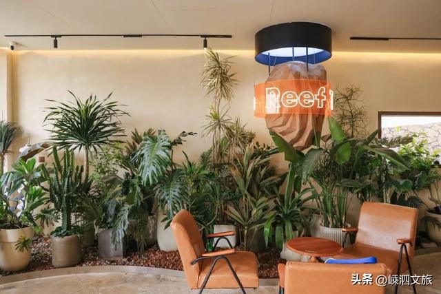 2026年的最大心愿，就是集齐泗礁岛这些美好瞬间！