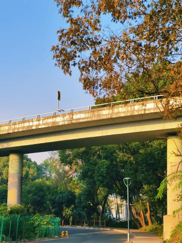 逛起来！8小时10个公园！