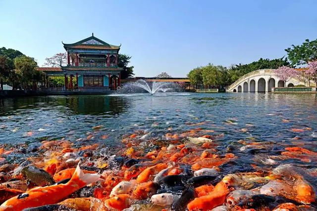 “禺”见好运！番禺这条“鳌”游线路，带你一键解锁小众打卡、非遗体验！