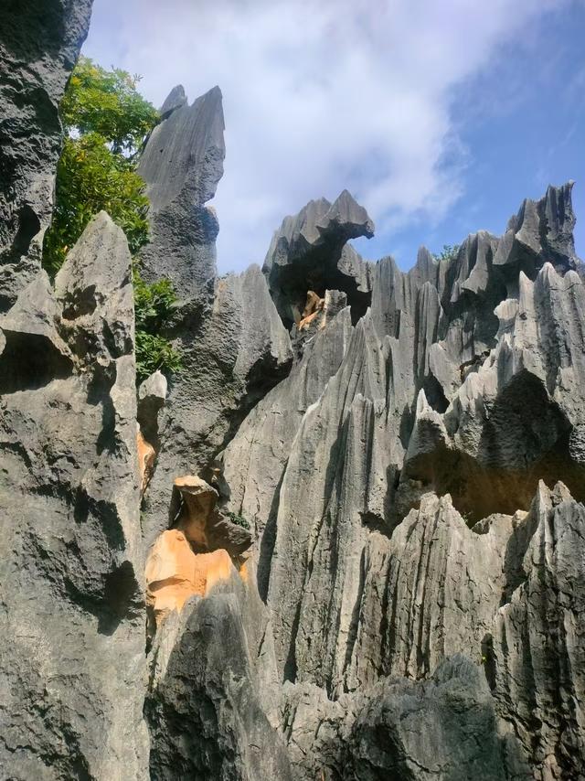 梦幻云南（一）：石林篇