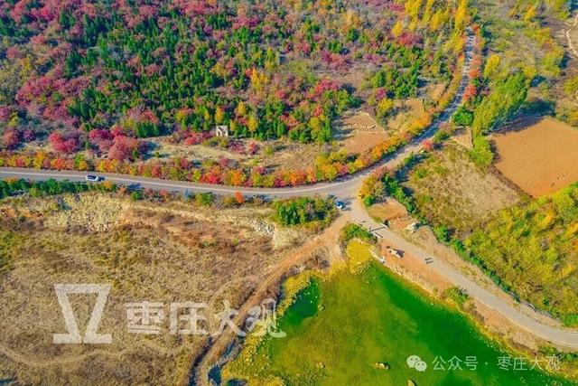 实拍枣庄牛郎山进入红叶观赏期！