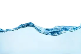 人体百分多少是水分图片