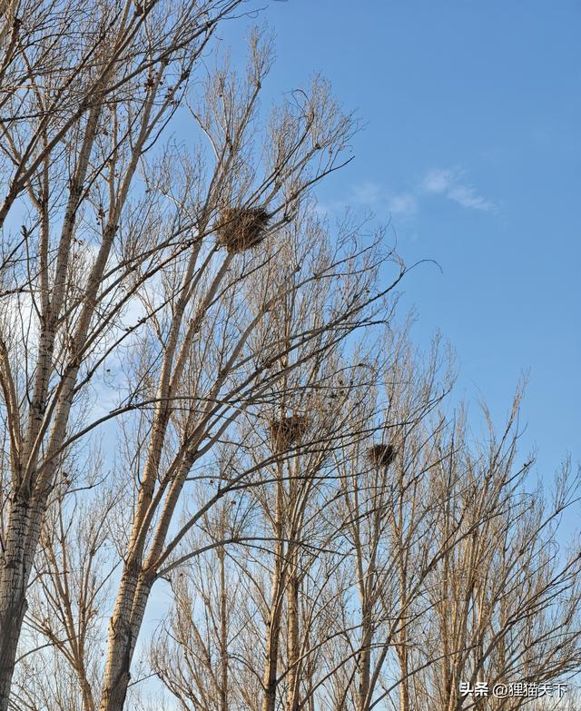 乌市鲤鱼山公园，从西门进去绕一大圈得有一小时，经过观景亭