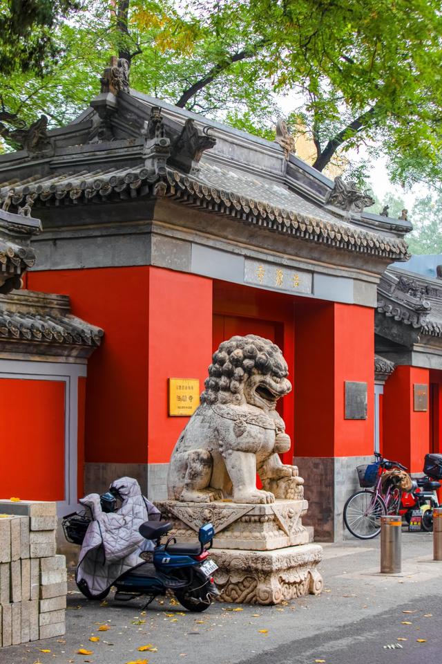 听说北京的古寺，更配北京秋日的银杏，这个古寺你去过吗？