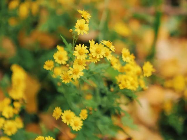 深秋石泉漫游记