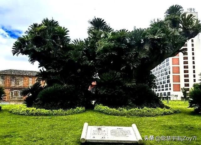 江西一考生被福耀科大录取后，来学校和王树国面谈，恶心一幕出现