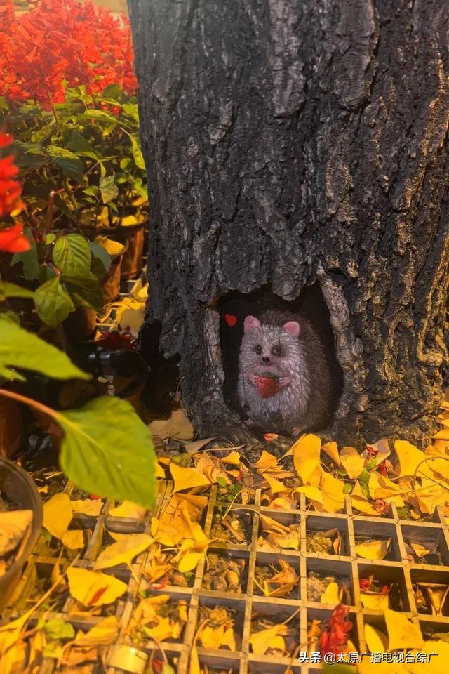 府城漫步丨迎泽初冬，温暖依旧