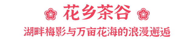 冬日寻梅记：黄陂这两处秘境，已被梅香腌入味！