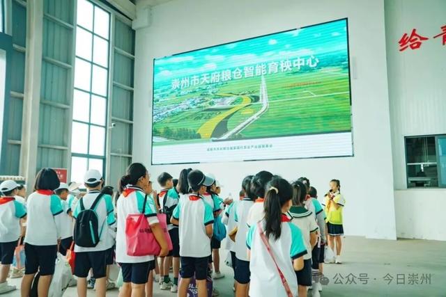 银杏季，罨画池多了一道超可爱的风景……