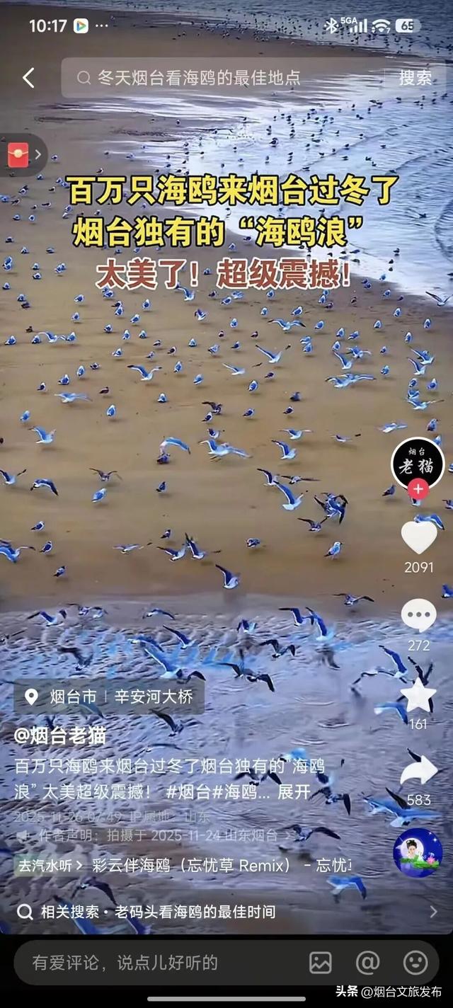 【乐享烟台】加入“仙境烟台”文旅达人联盟：用你的创作，代言这片山海