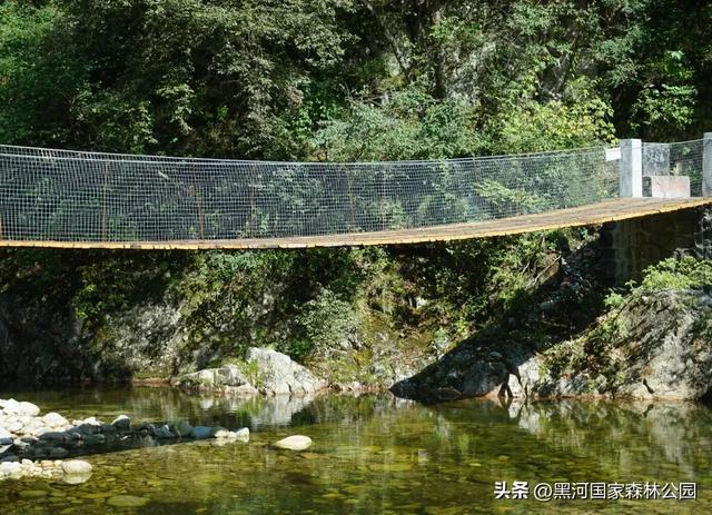 九月的黑河,一半是山野的绿意,一半是秋天的凉风