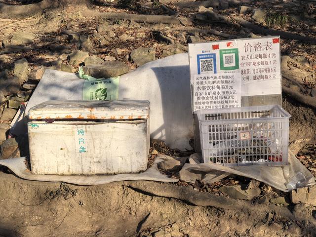 南京紫金山郊野徒步