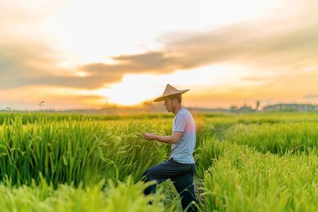 我装了摄像头，想看看老公每晚在干嘛，结果拍到的画面，让我崩溃