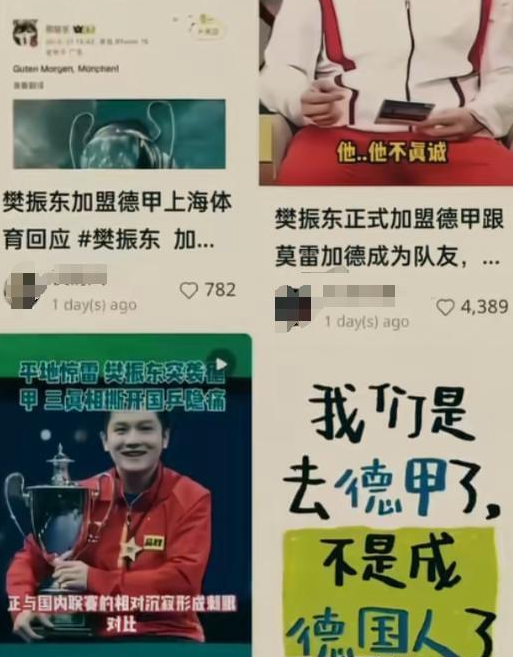 央视专访，彻底揭开陈芋汐的真实处境，原来她和樊振东同病相怜