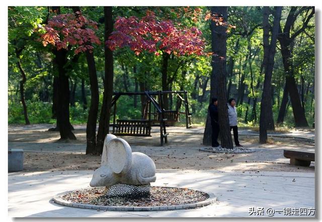 沈阳东陵郊野公园“精灵”出没