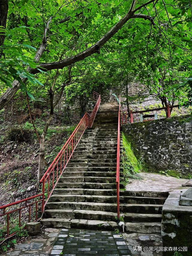 这个夏天,凉爽黑河等风也等你