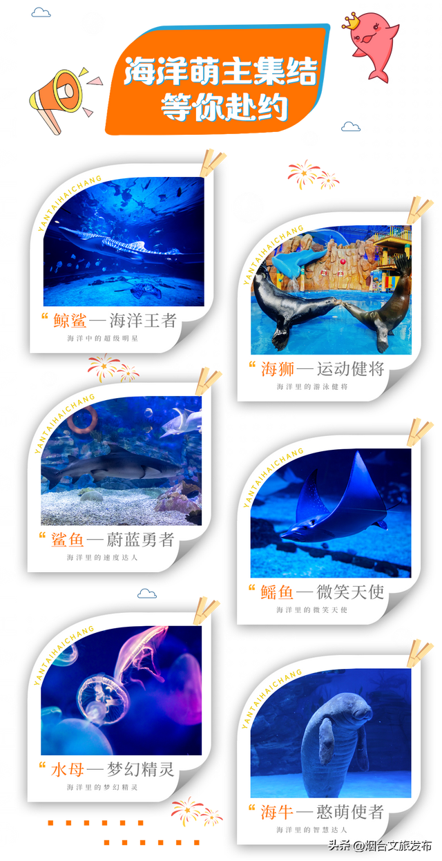 【乐游烟台】国庆去哪玩？一起潜入海底世界，嗨玩一整天！