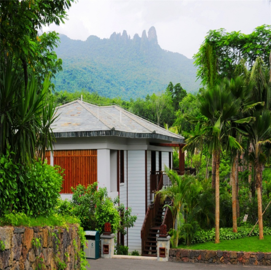 天冷就来保亭泡温泉！把日子泡得热气腾腾