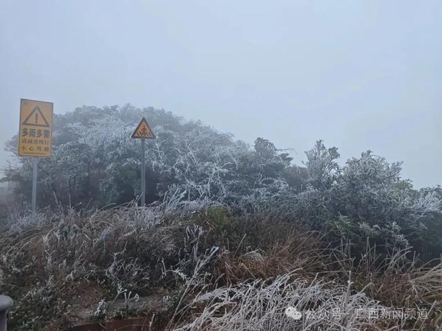 南宁大明山冰凌雾凇惊艳亮相