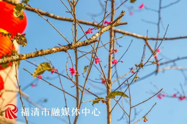 快去打卡！福清这座900多年古塔惊艳亮相！