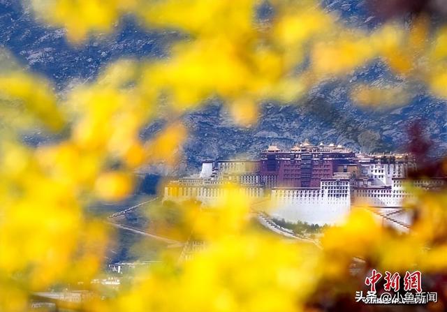 拉萨天堂草原自然风景区成网红打卡点