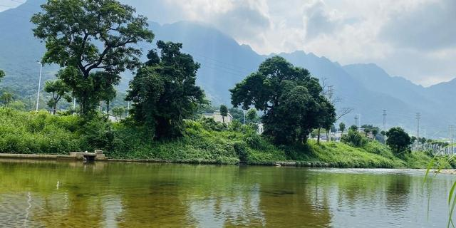 厦门未来强到可怕！一场前所未有的 “大动作”，会在今年正式启动