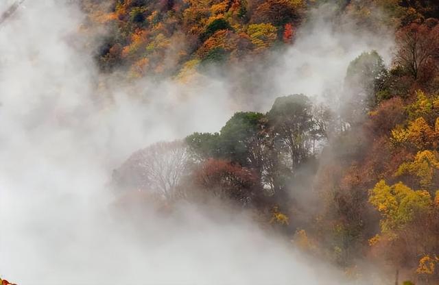 安康南宫山：五彩秋色惹人醉