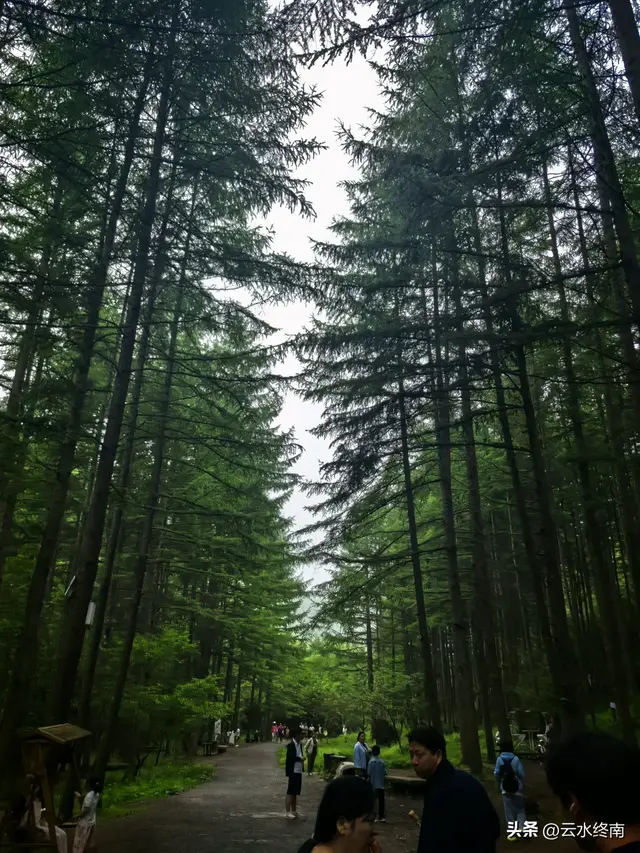 情人谷牛奶湖高山草甸：蜀道中“秦岭秘境”变成了一路的网红景点