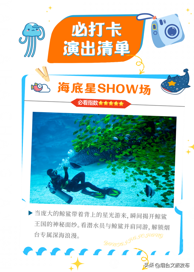 【乐游烟台】国庆去哪玩？一起潜入海底世界，嗨玩一整天！