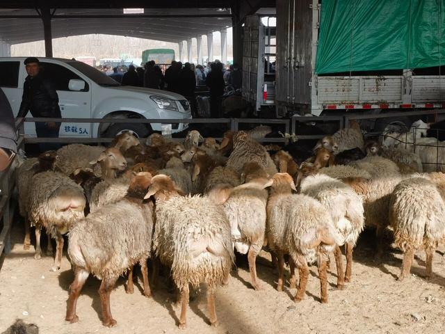 喀什，我又来了