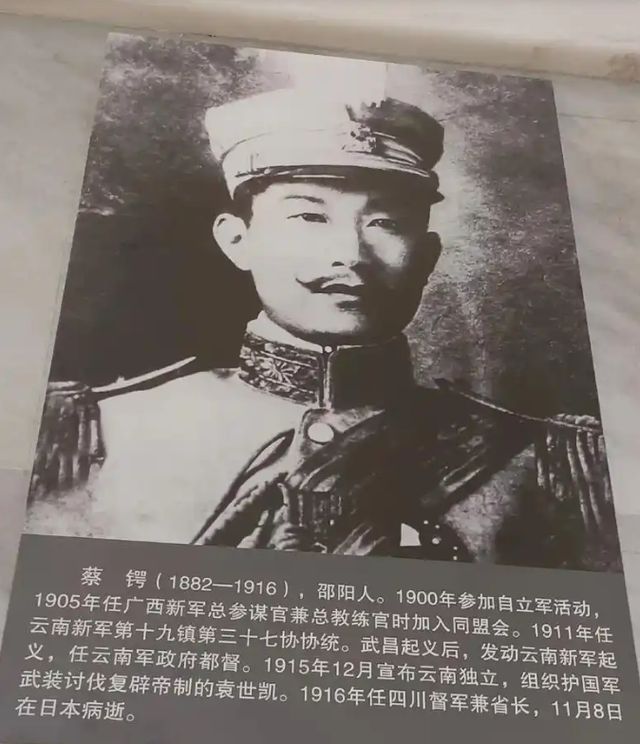 34岁英年早逝，蔡锷死因迷雾重重，是病逝还是另有隐情？