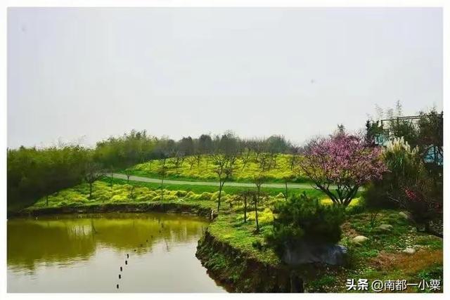 上海奉贤，四大古镇