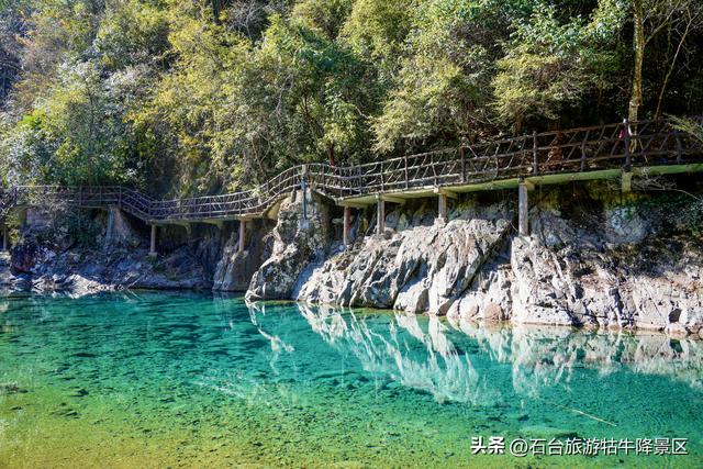 霜冬赴新程，焕新待君赏