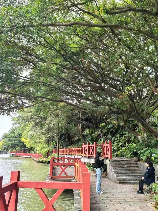 桂林：最是初冬晴午后！