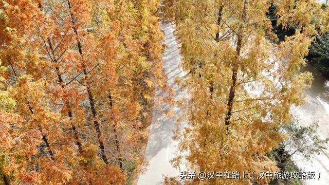 汉中洋西路自驾邂逅冬日限定美景！