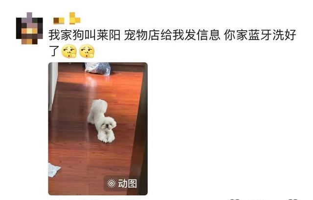 原来宠物在外都有别的名字啊！养宠物的朋友们，你们都知道吗？