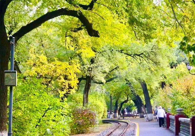 这样的哈尔滨，你见过吗？