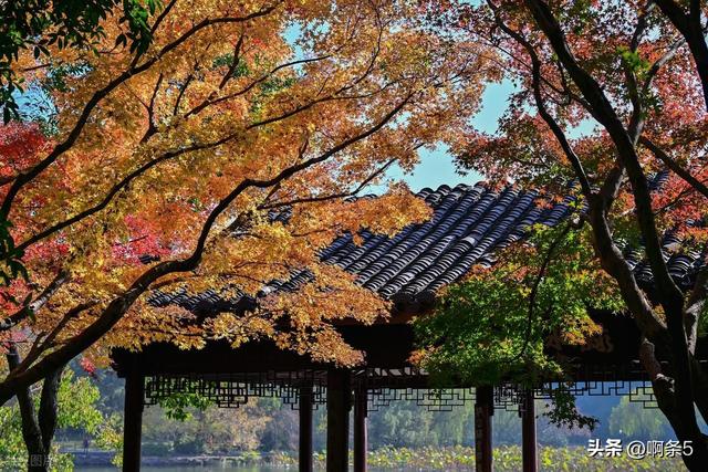 杭州西湖的景色还不错！