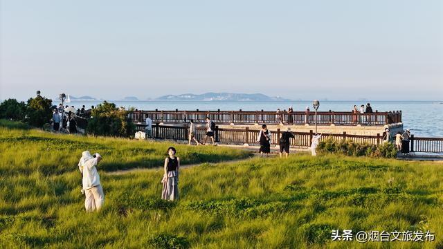 【乐游烟台】夏天的烟台渔人码头，藏着海风与烟火